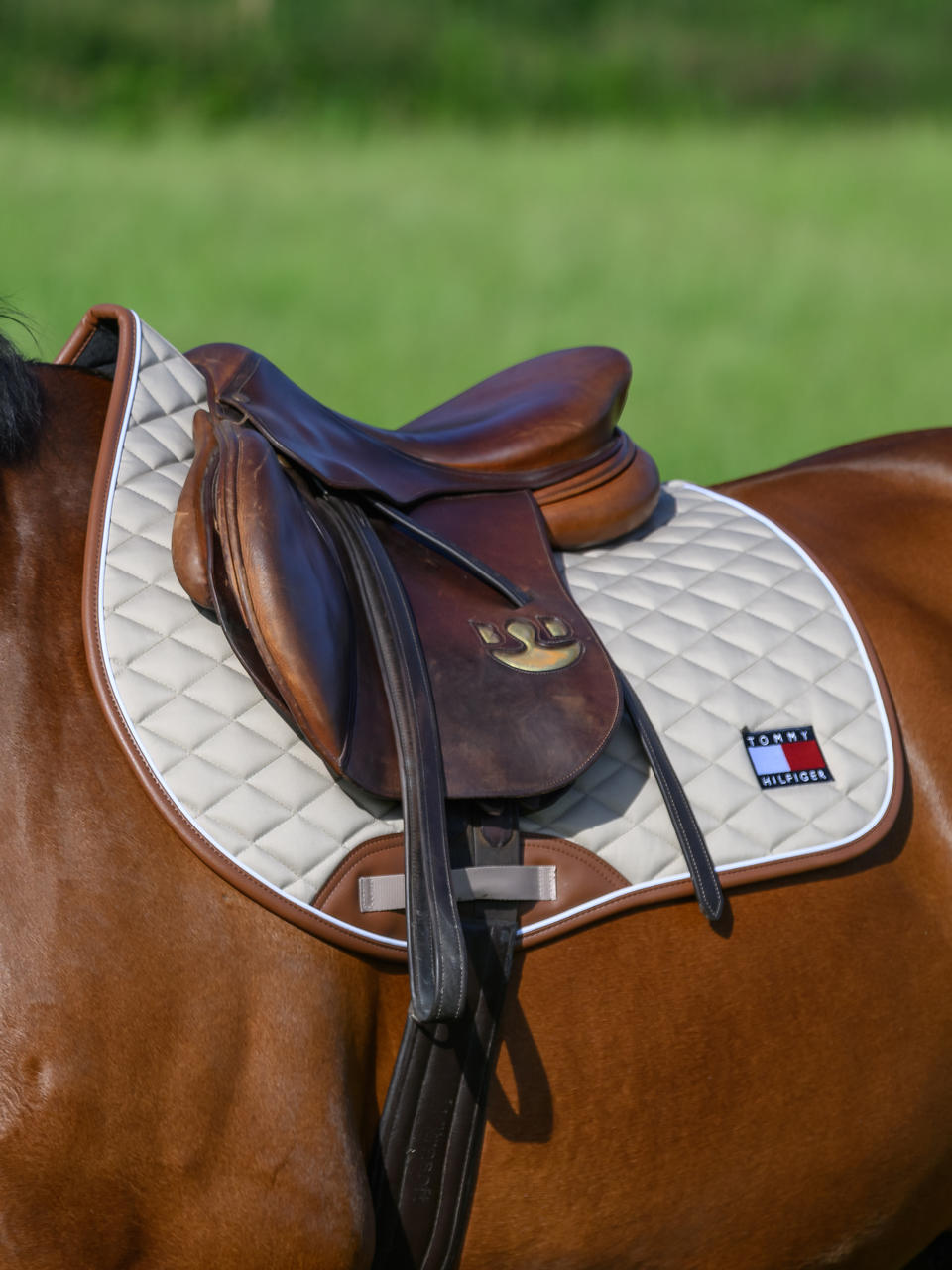 Tommy Hilfiger Tapis de selle Princeton