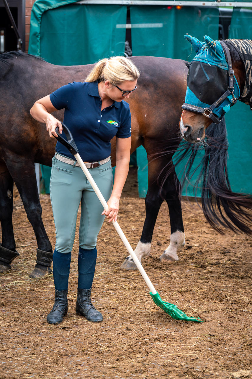 Gewa FOURCHE À FUMIER DE CHEVAL - vert foncé