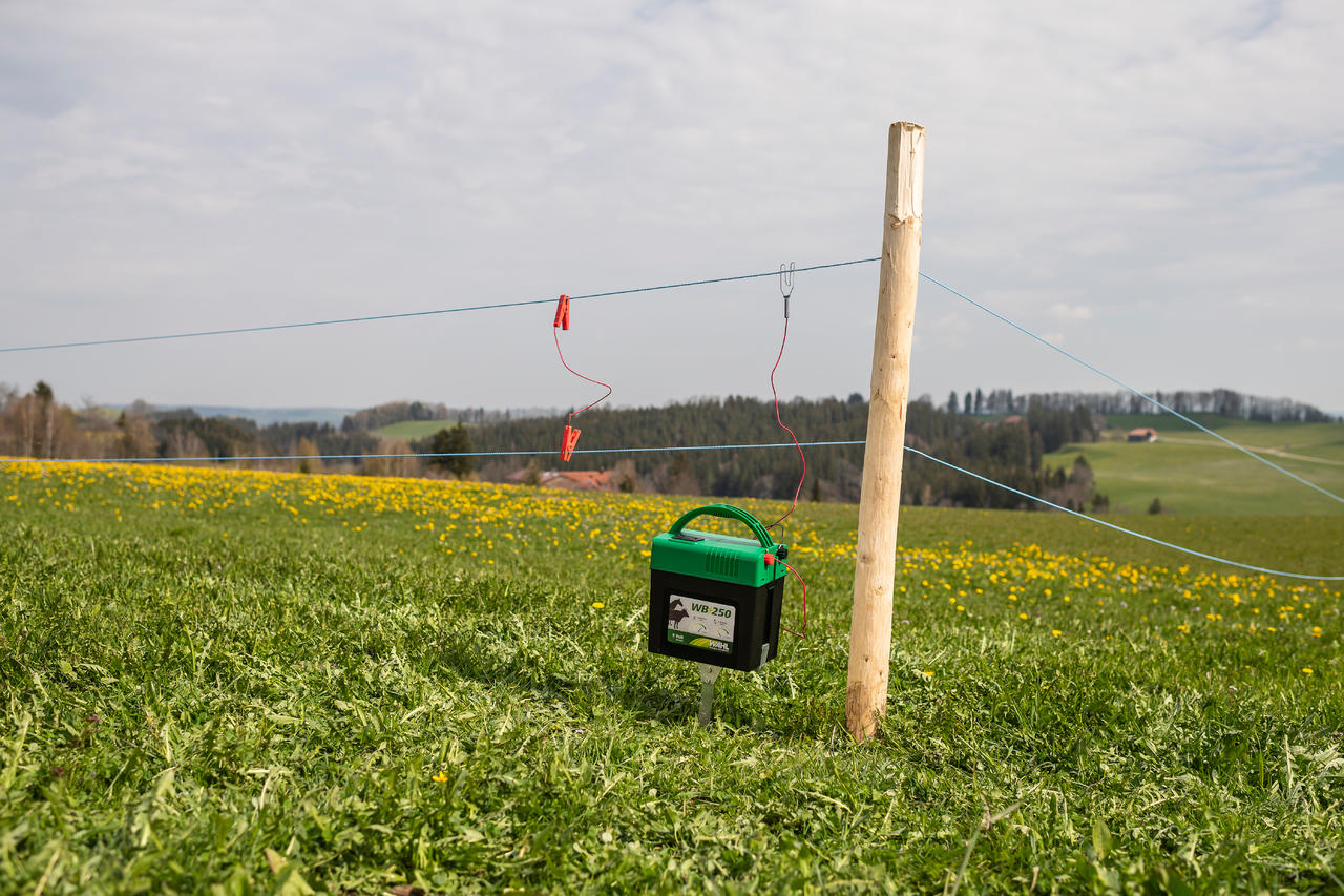 WAHL-FENCE WB 250 - électrificateur de clôture à batterie 9V