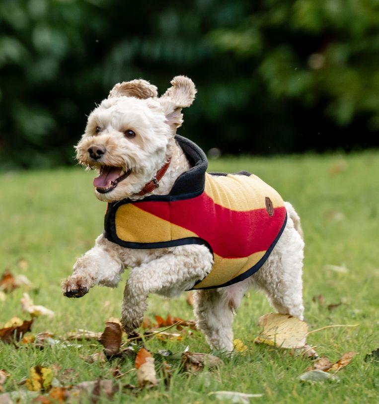Horseware Newmarket Couverture polaire pour chien