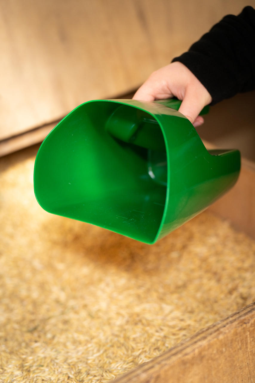 WAHL-Hausmarke Pelle à aliments fermée verte 1,5 kg