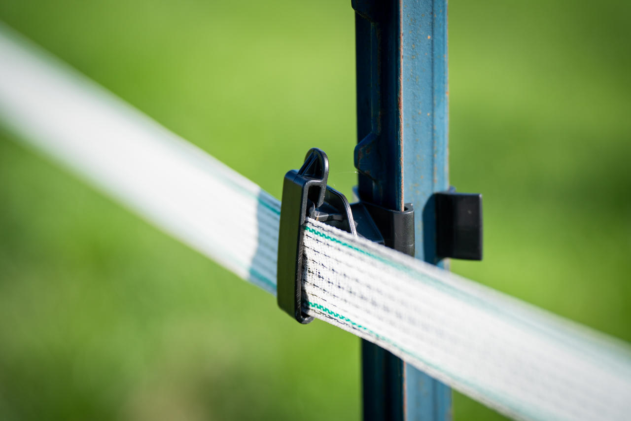 AKO Isolateur ruban T-Post - 25 pcs.