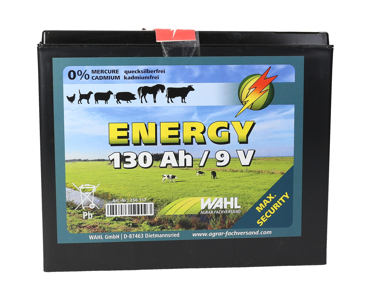 WAHL-Hausmarke Batterie pour clôture électrique 9 V - 130Ah