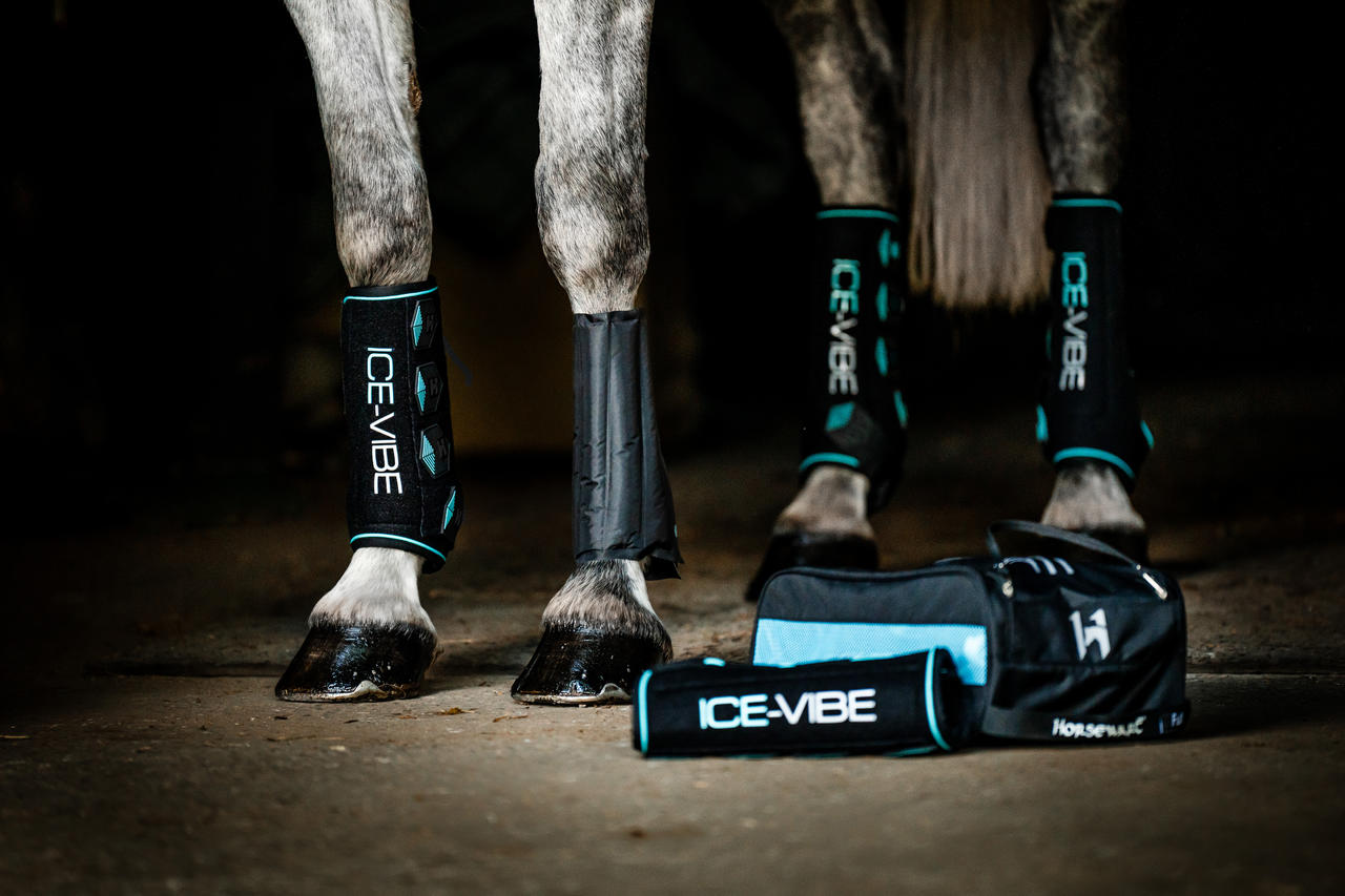 Horseware Bandages Ice-Vibe pour jambes
