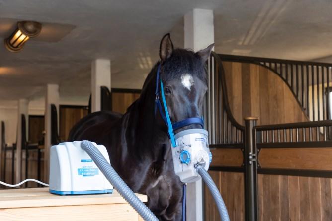 Hippomed AirOne Inhalateur à ultrasons pour chevaux, masque inclus