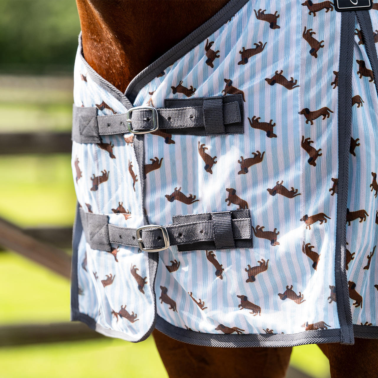 QHP Chemise anti-mouches Stable Buddy