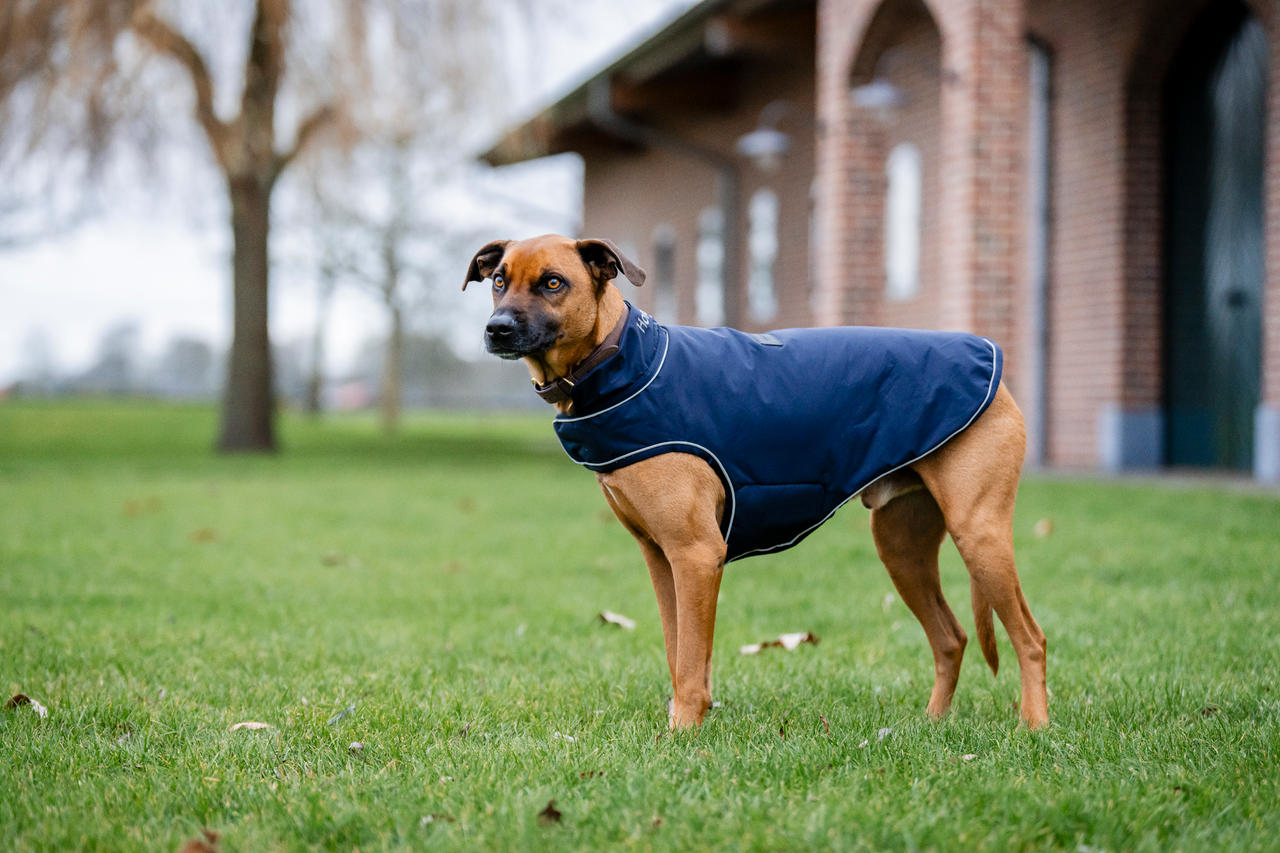 Horseware Imperméable pour Chien Signature 100g