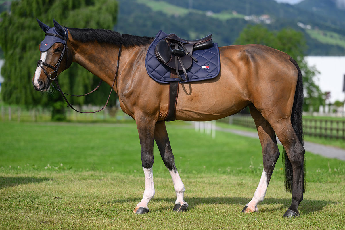 Tommy Hilfiger Tapis de selle de saut Columbia