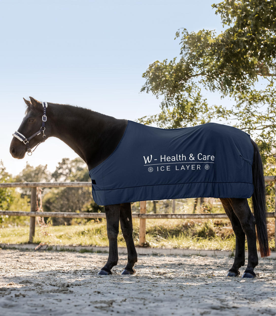 Waldhausen Health & Care Couverture Ice Layer W-Health & Care