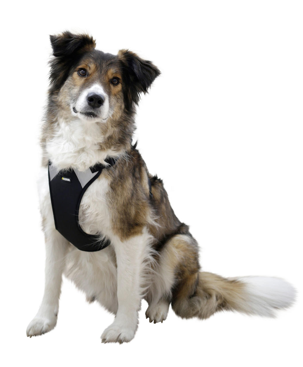 Kerbl Harnais pour chien Pulsive