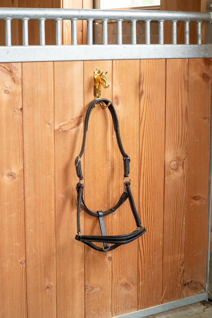 HKM Porte-bridon tête de cheval avec double crochet
