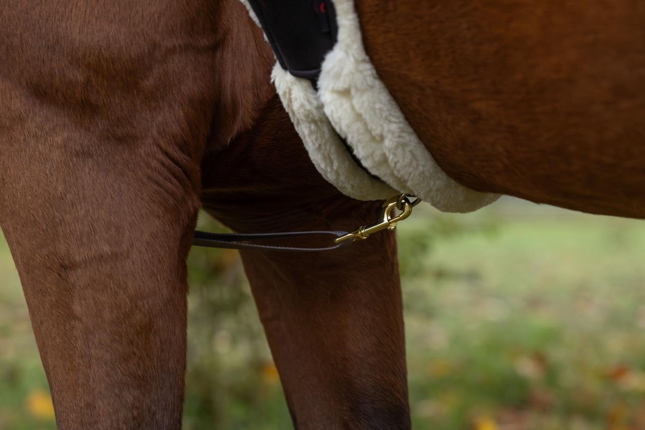 Covalliero Collier de chasse à LED