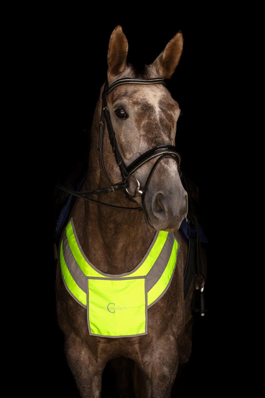 Covalliero Collier de chasse réfléchissant
