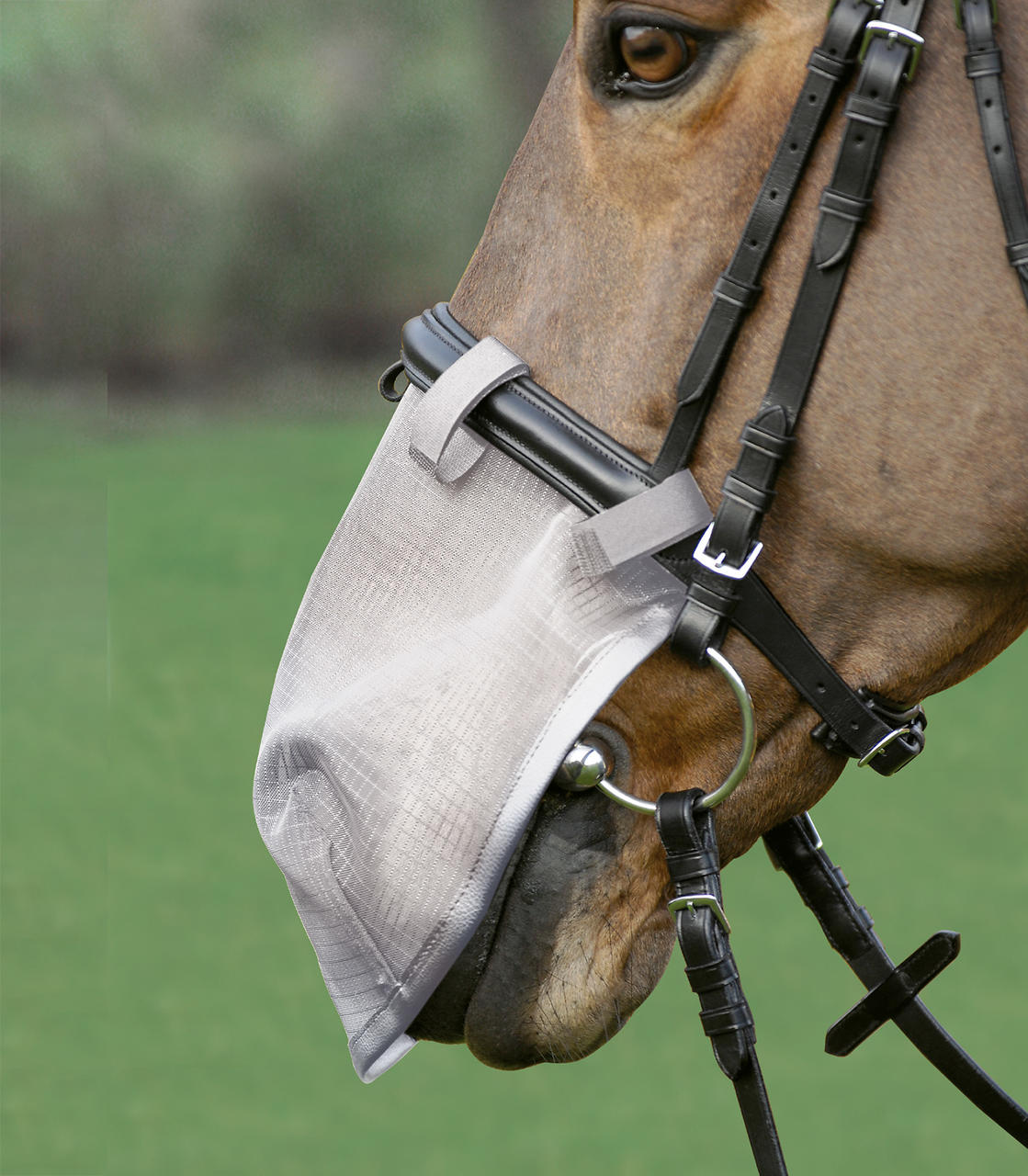 Waldhausen Protection anti-Mouches du chanfrein, Avec Protection UV