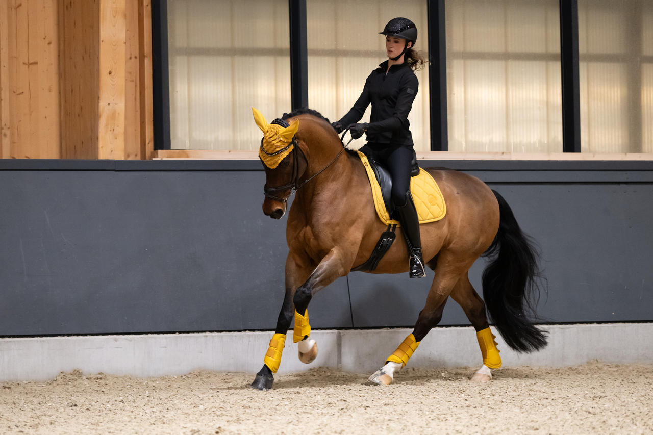 ESKADRON - Guêtres pour tendon Flexisoft avec mouton - Paddock Animal