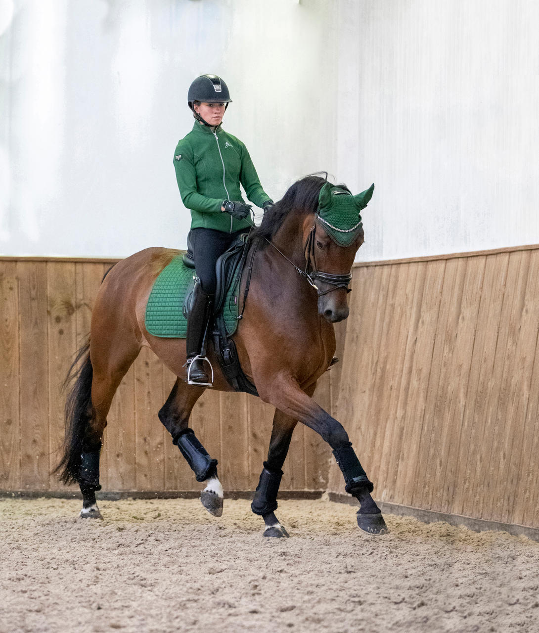 LeMieux Tapis de selle Square Dressage en suédine