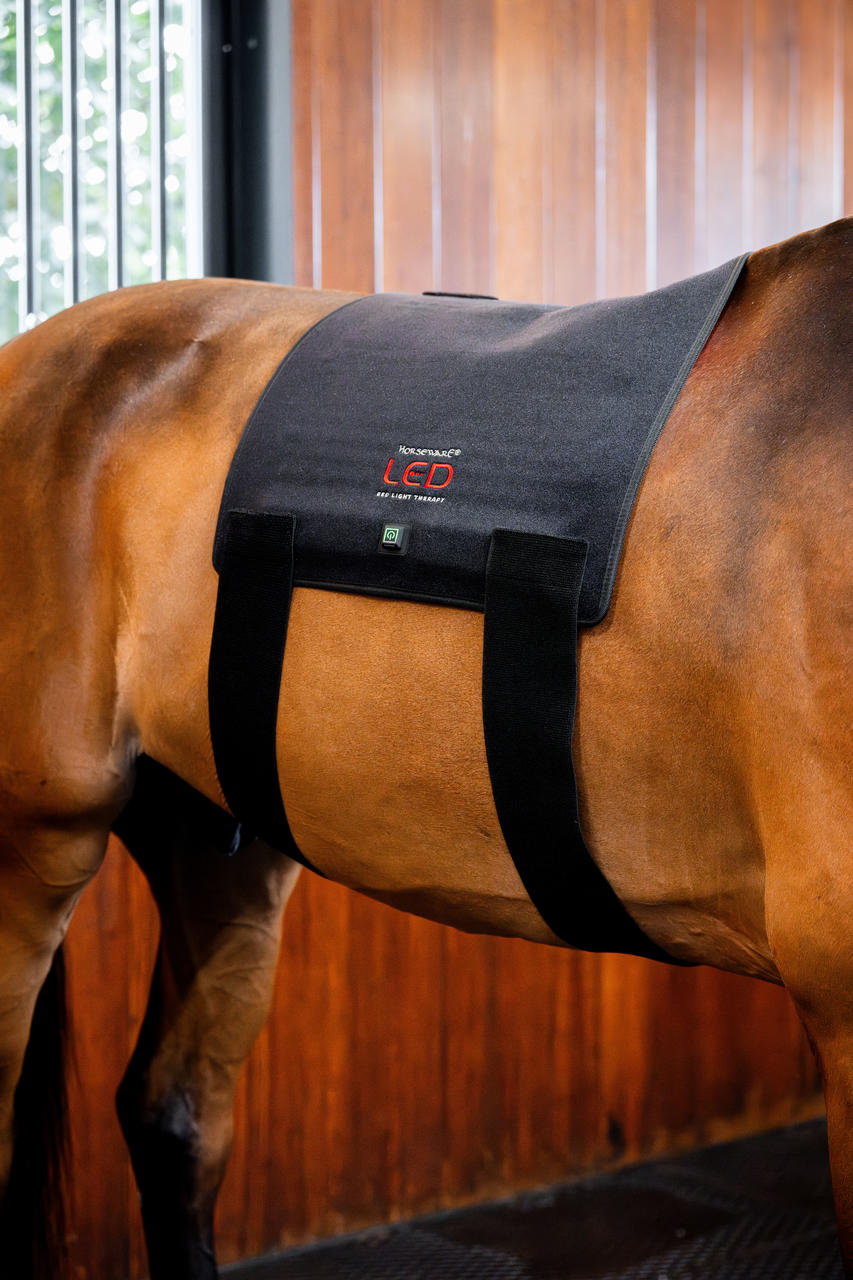 Horseware Pad de thérapie par lumière rouge LED