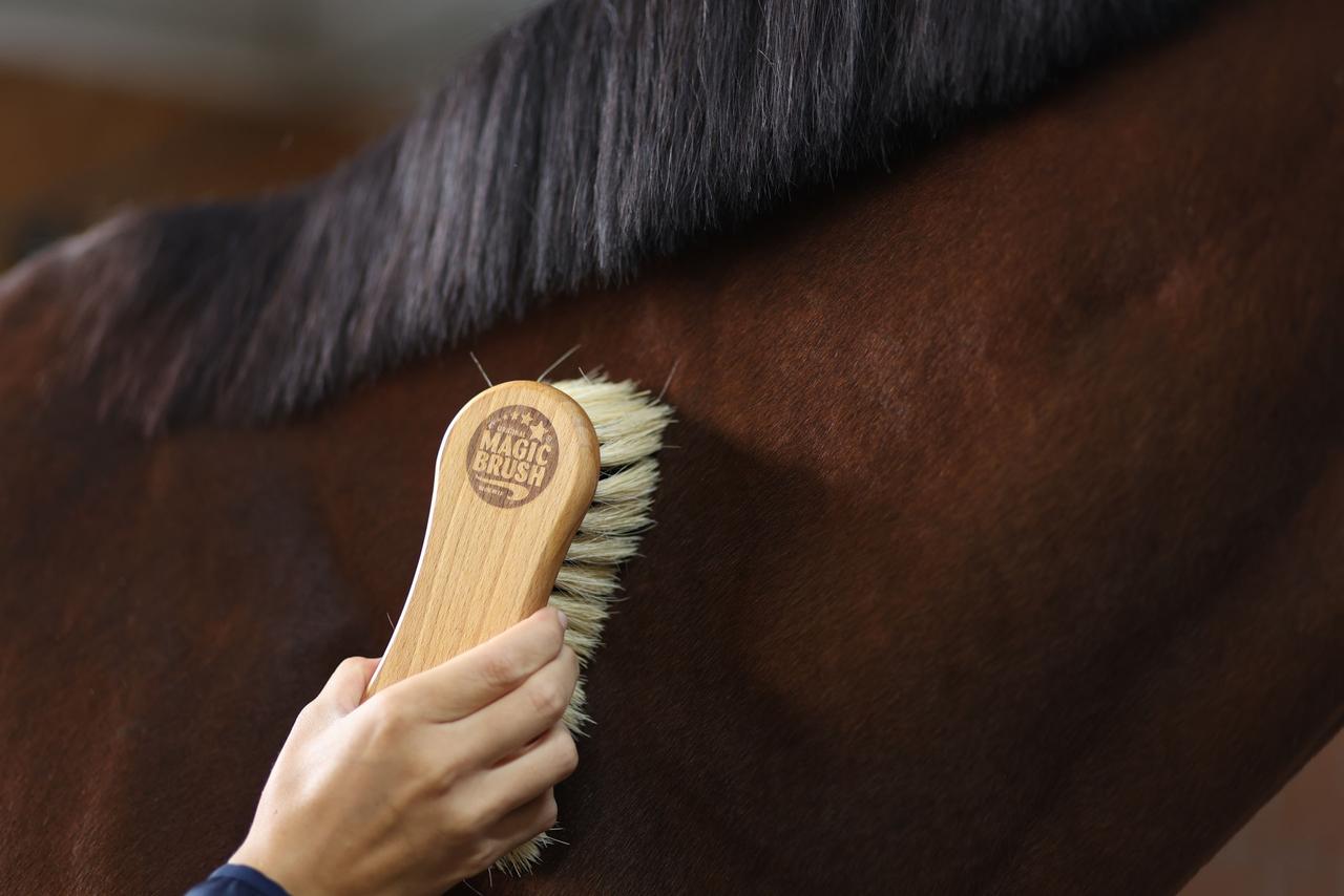 Kerbl Brosse combinée MagicBrush pour chevaux