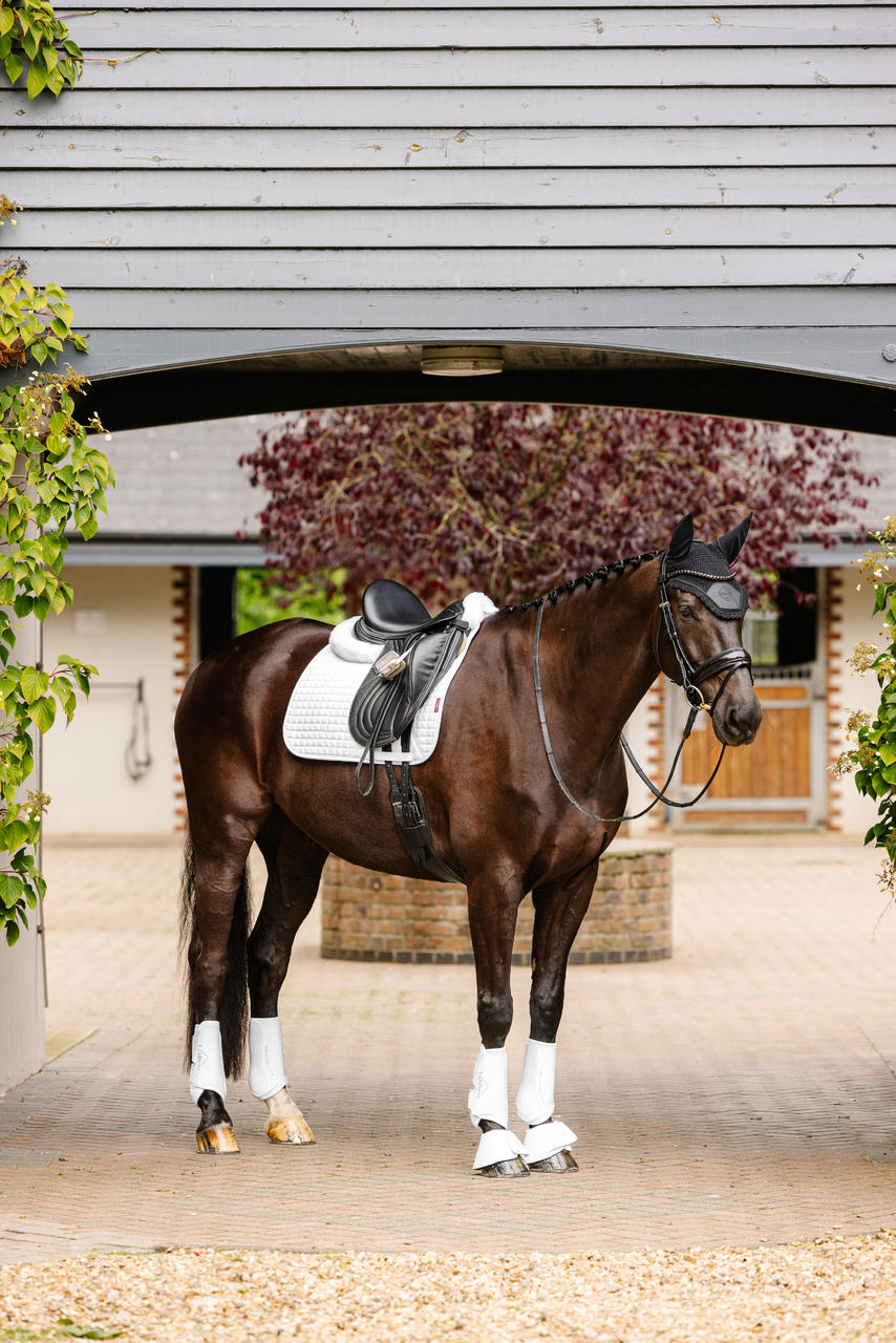 LeMieux Tapis de selle Square Dressage en suédine