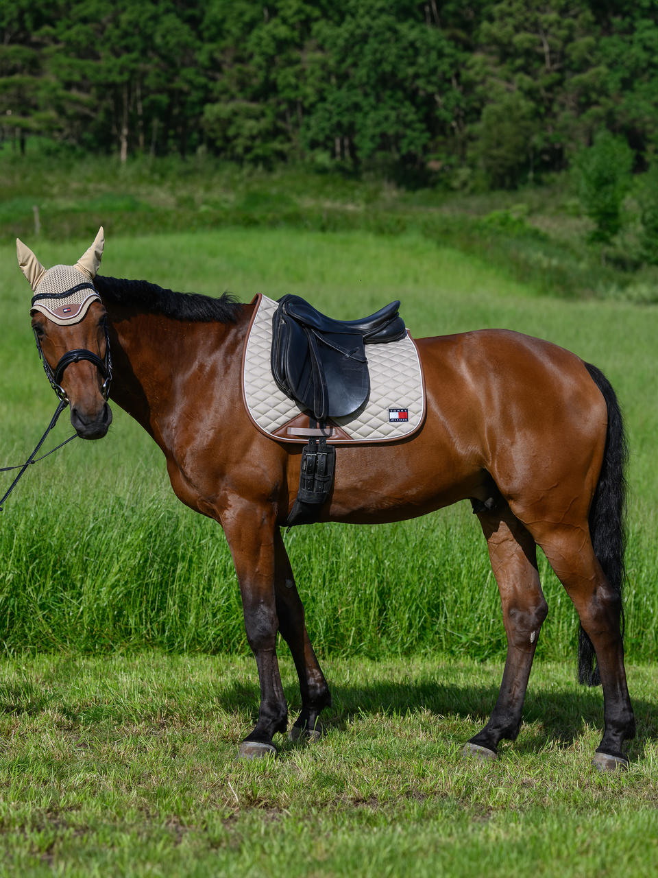 Tommy Hilfiger Tapis de selle Princeton