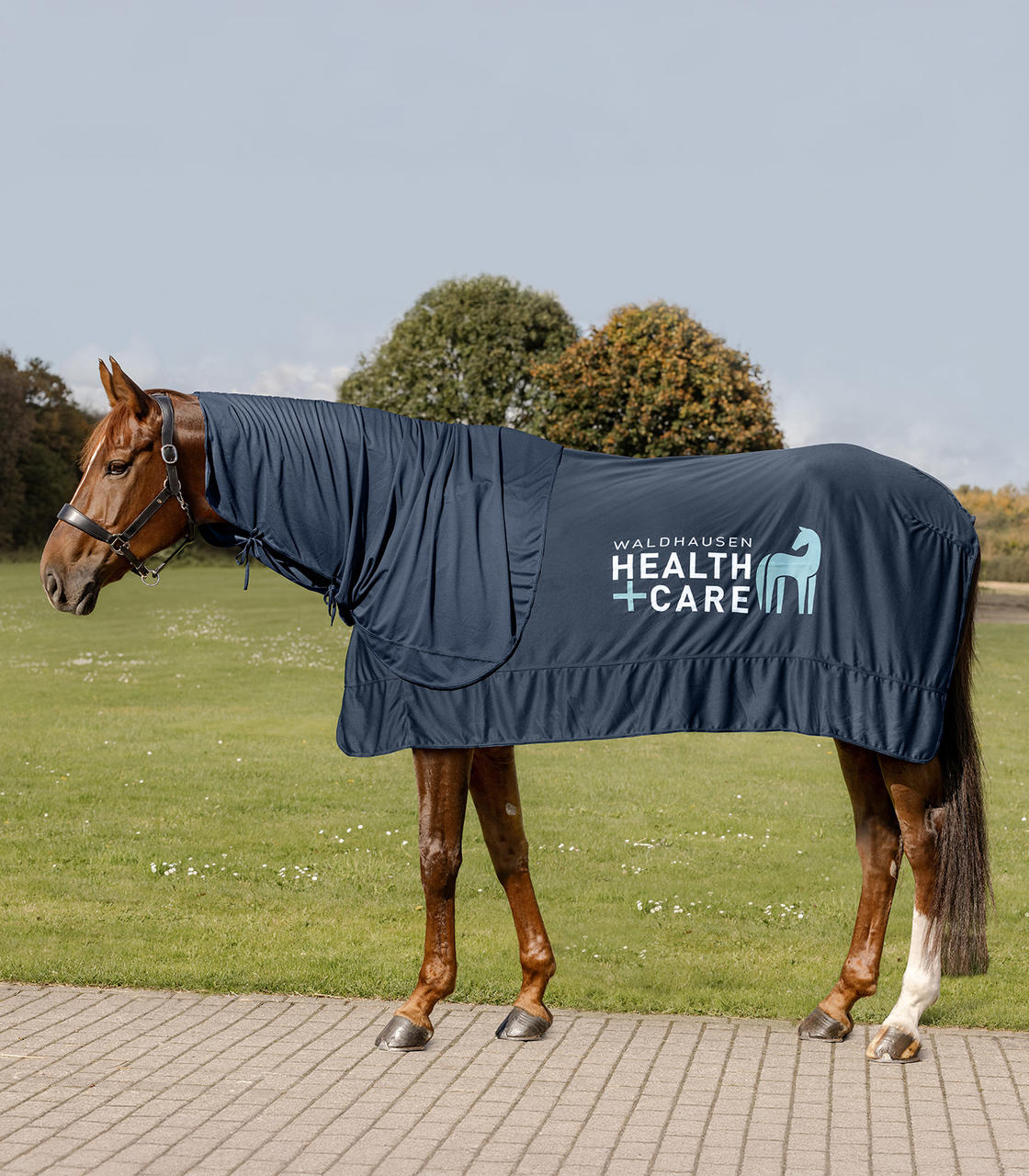 Waldhausen Health & Care Couverture Ice Layer W-Health & Care