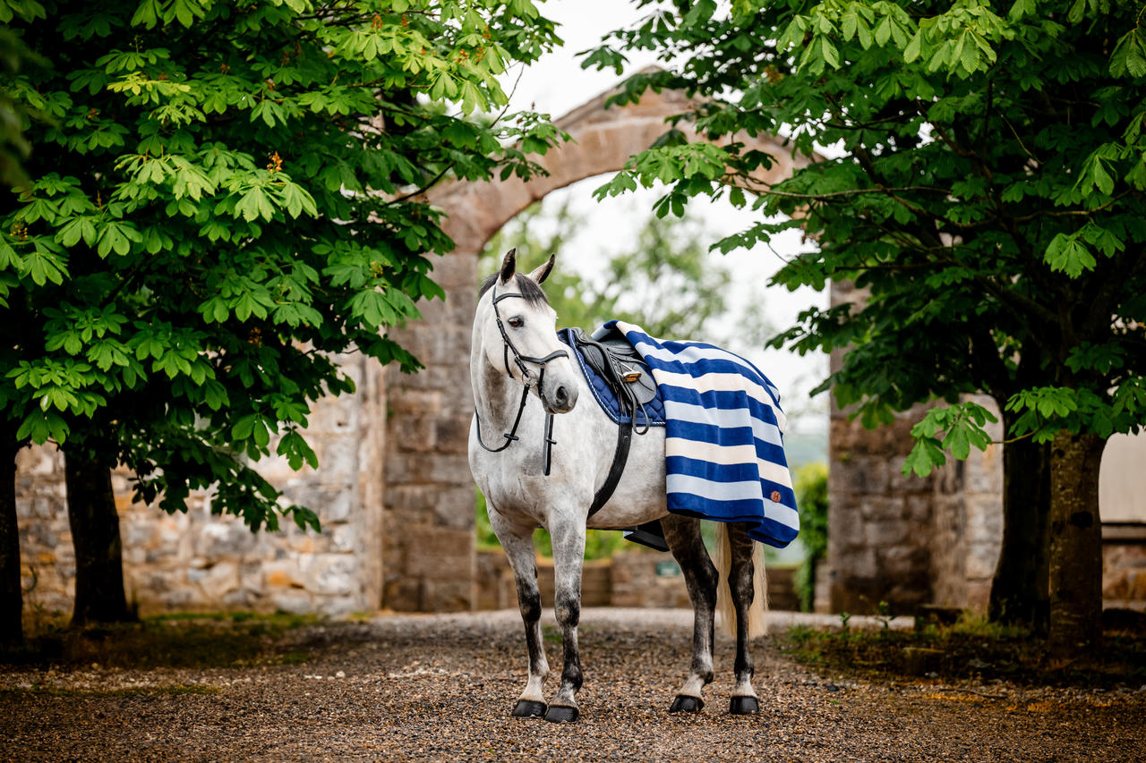 Horseware Newmarket Polaire