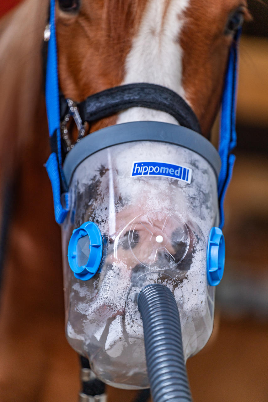 Hippomed AirOne Inhalateur à ultrasons pour chevaux, masque inclus