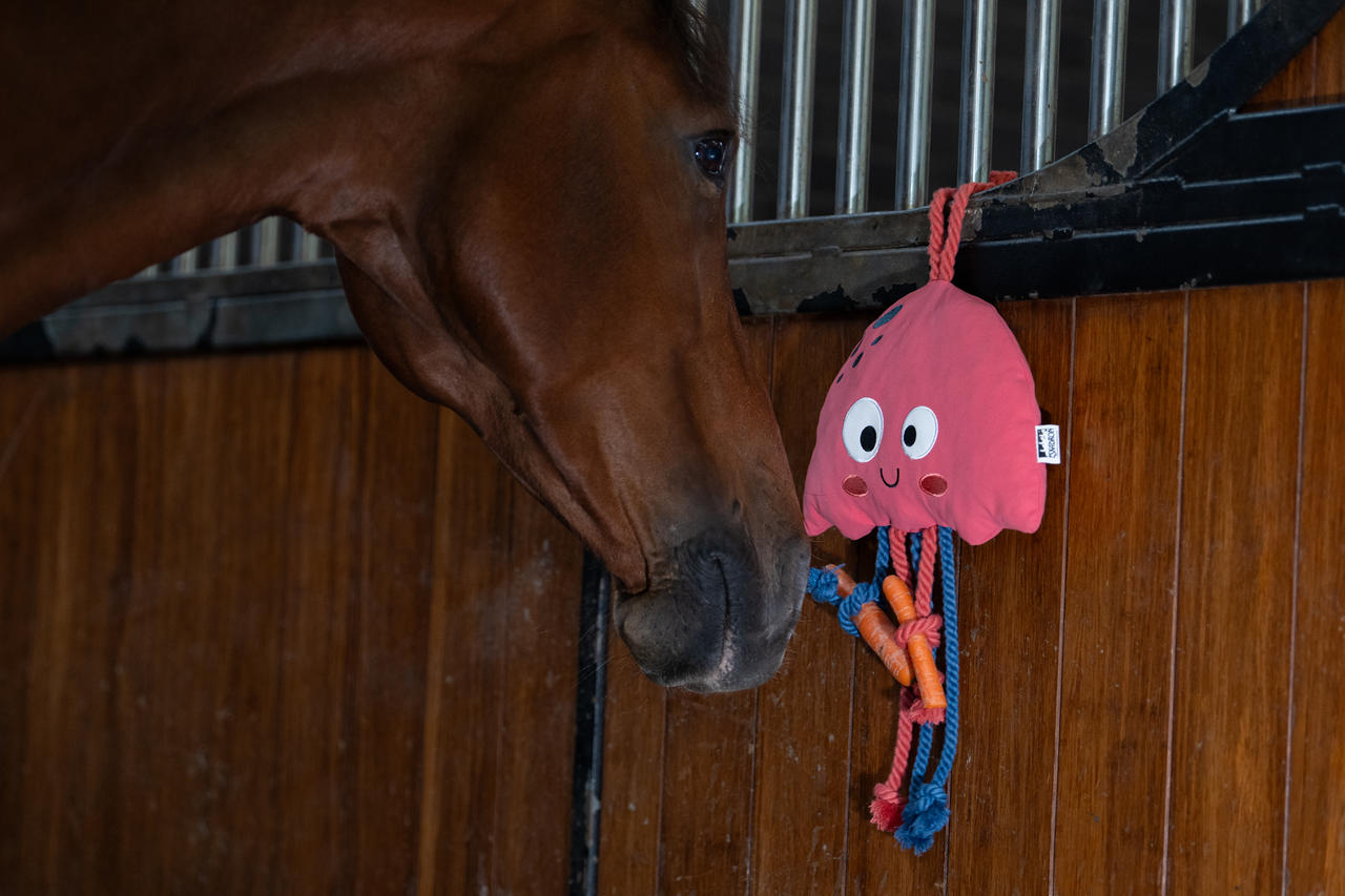 Eskadron JELLYFISH jouet pour chevaux