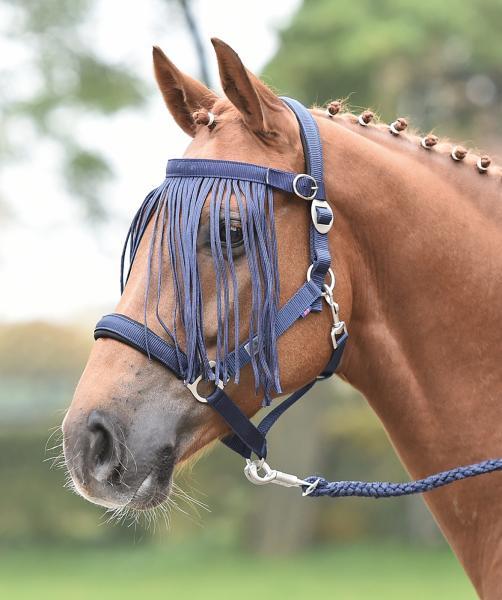 Busse Frontal anti-mouches avec cordon Tampere Standard
