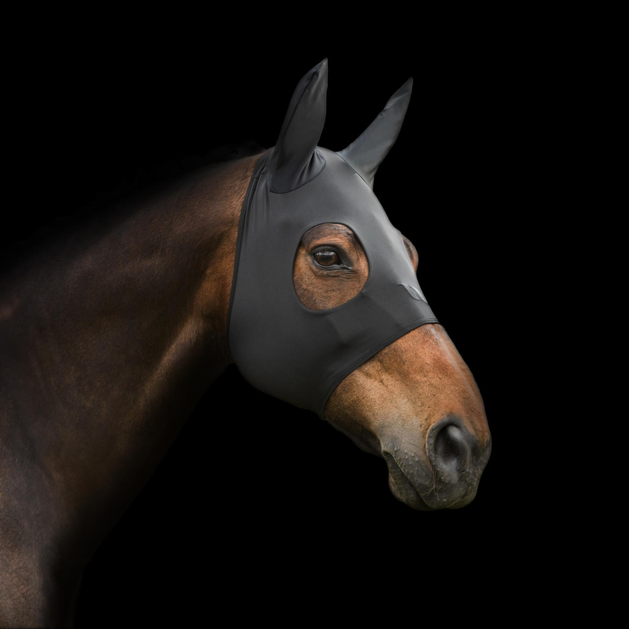 Back on Track Masque anti-stress "Spirit" avec oreilles