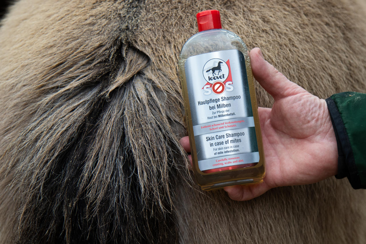 leovet SOS Shampooing soin de la peau