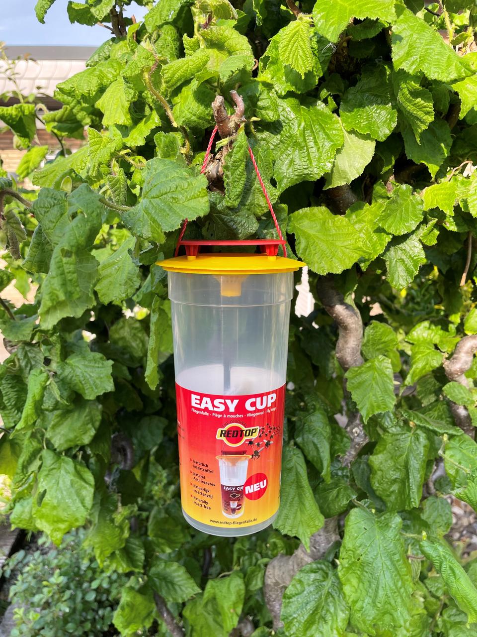 REDTOP Easy Cup Piège à mouches