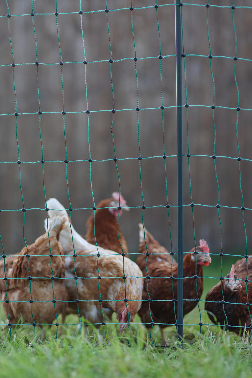 AKO PoultryNet Premium