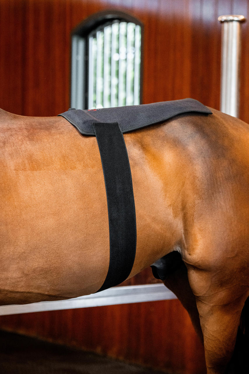 Horseware Pad de thérapie par lumière rouge LED