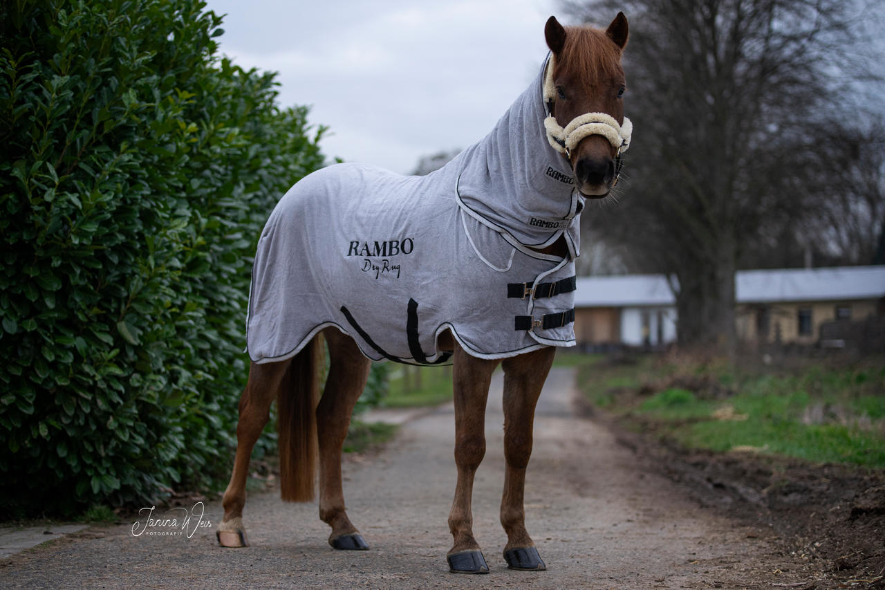 Horseware Rambo Dry Rug