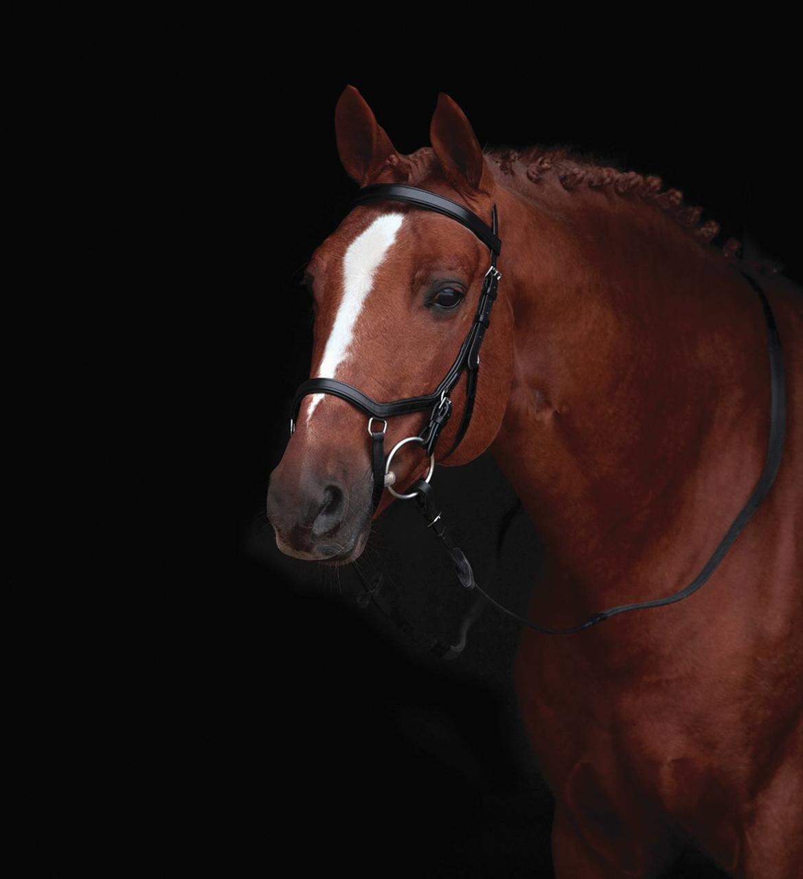 Horseware Bridon Rambo Micklem Original Competition