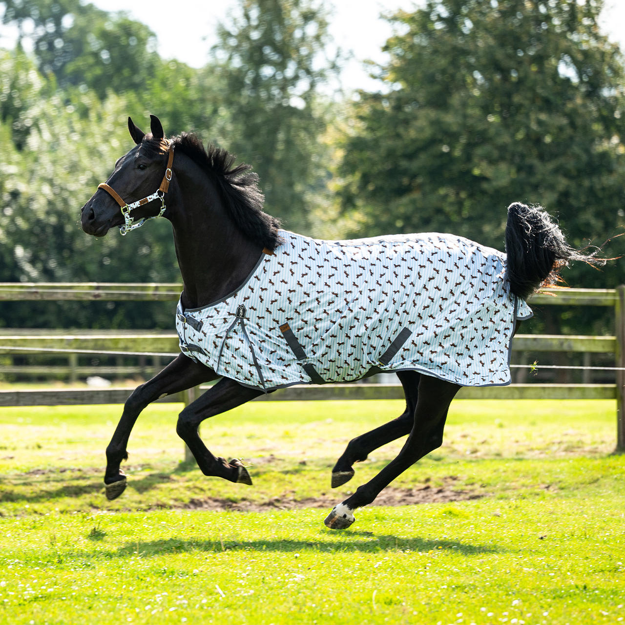 QHP Chemise anti-mouches Stable Buddy