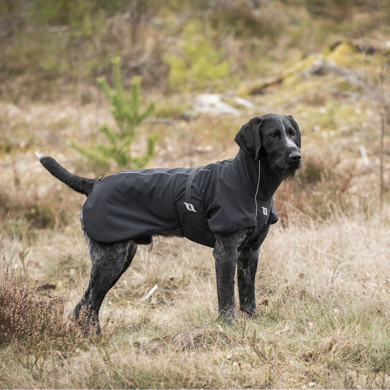 Back on Track Bark Allround Manteau pour chien