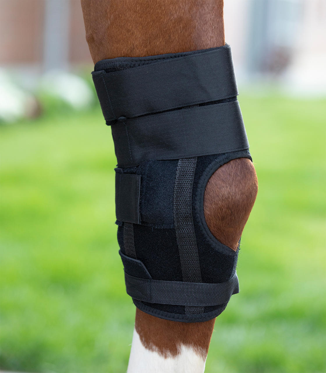 Waldhausen Health & Care Guêtre pour Jarrets