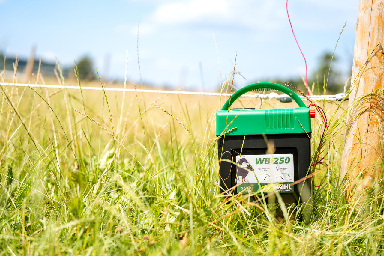 WAHL-Hausmarke WB 250 - électrificateur de clôture à batterie 9V