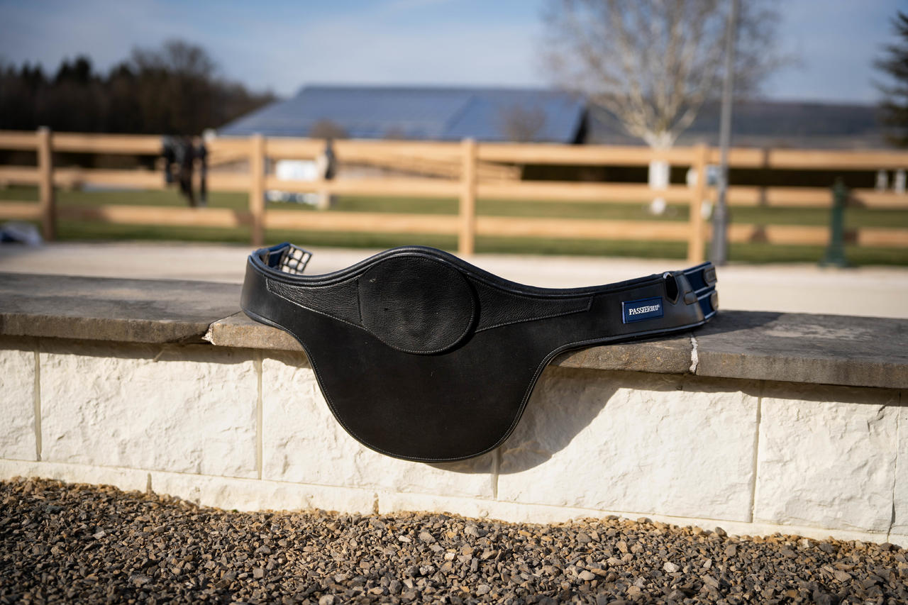 Passier Sangle de selle en cuir BLU PROTECT