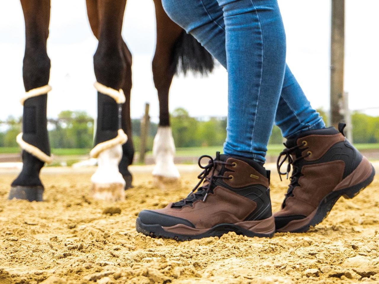 Busse Chaussures d'équitation et d'écurie Dallas