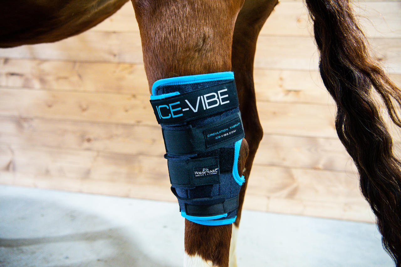 Horseware Guêtres pour Jarrets Ice-Vibe®
