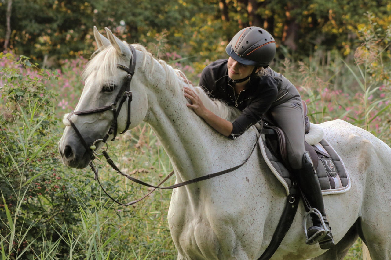 Casco Casque d'équitation Mistrall 2