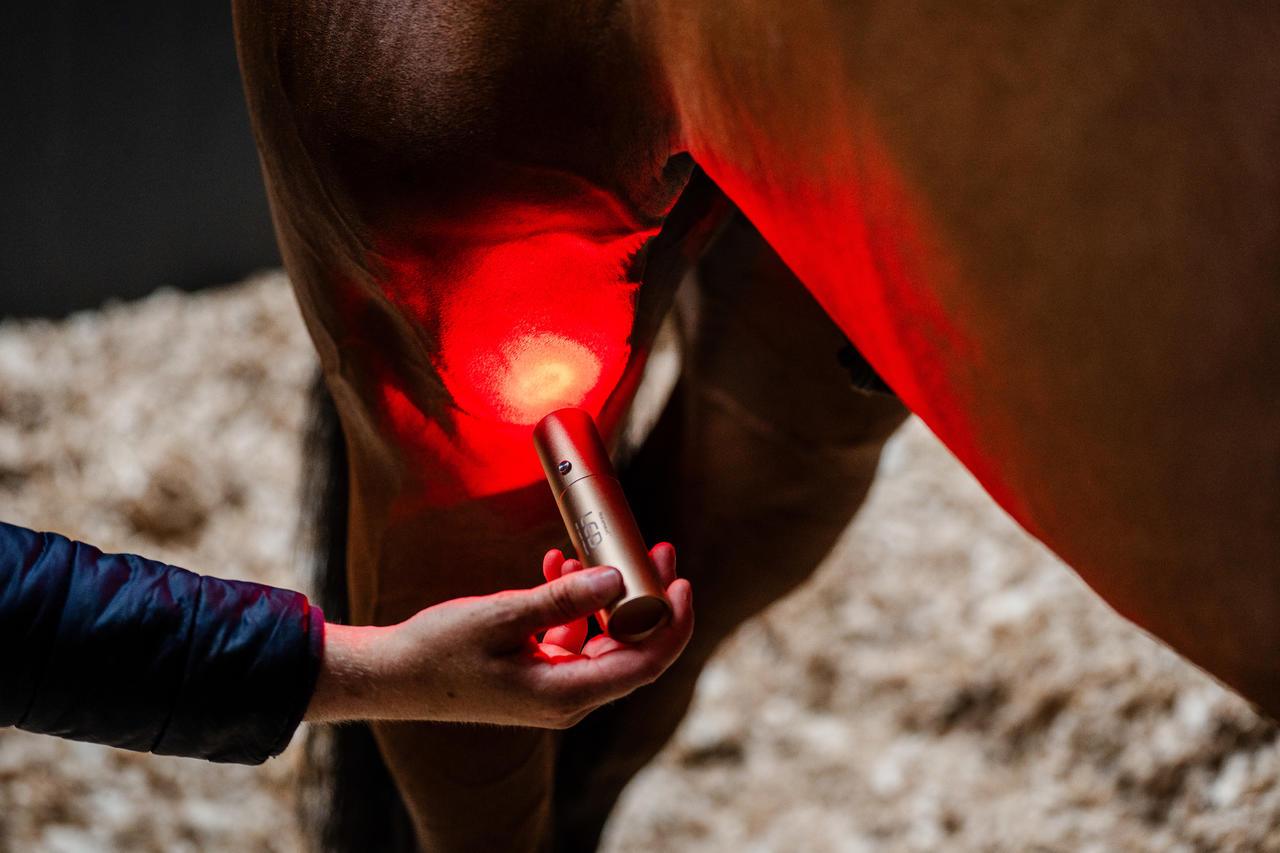 Horseware Baguette de thérapie par lumière rouge LED