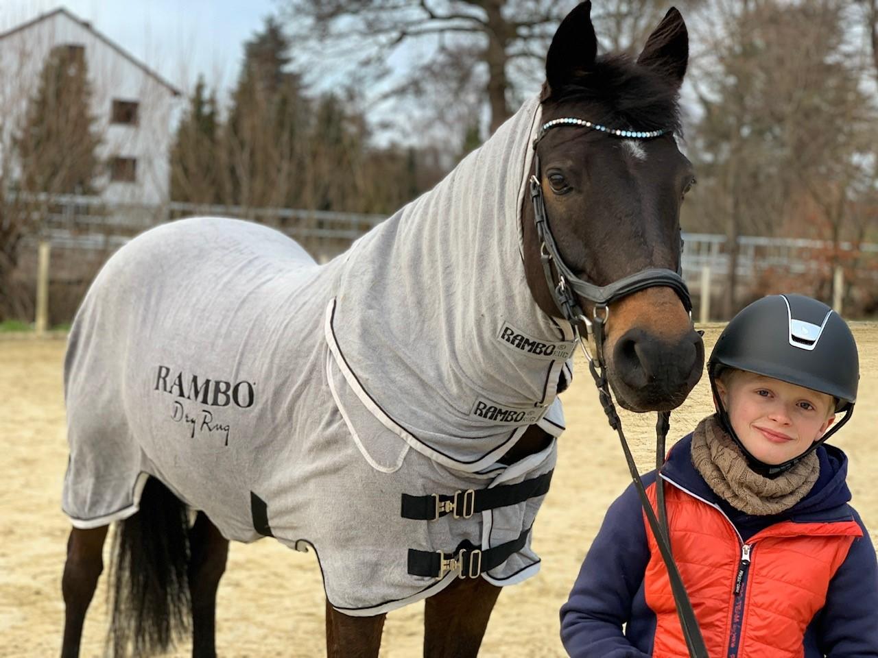 Horseware Rambo Dry Rug
