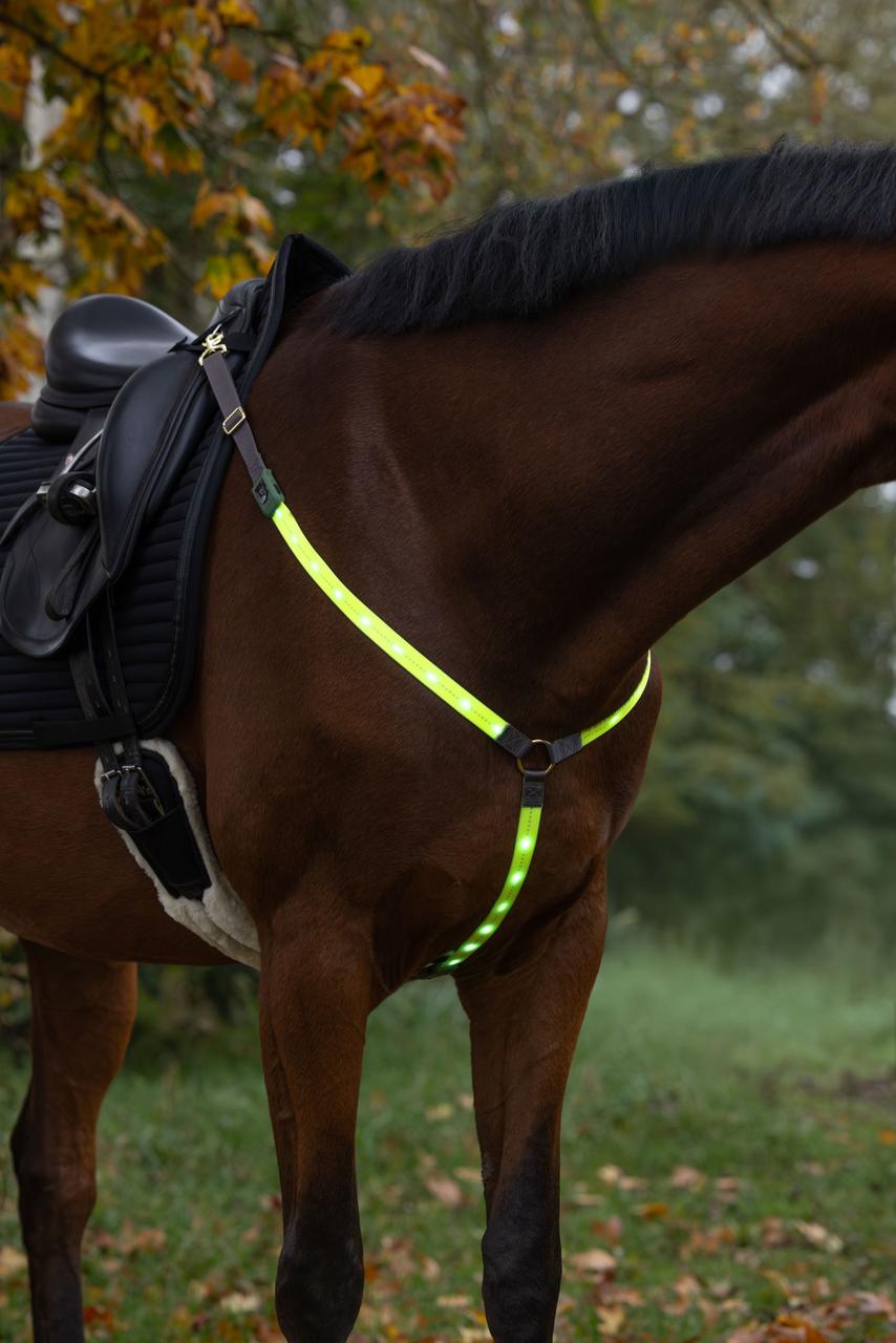 Covalliero Collier de chasse à LED