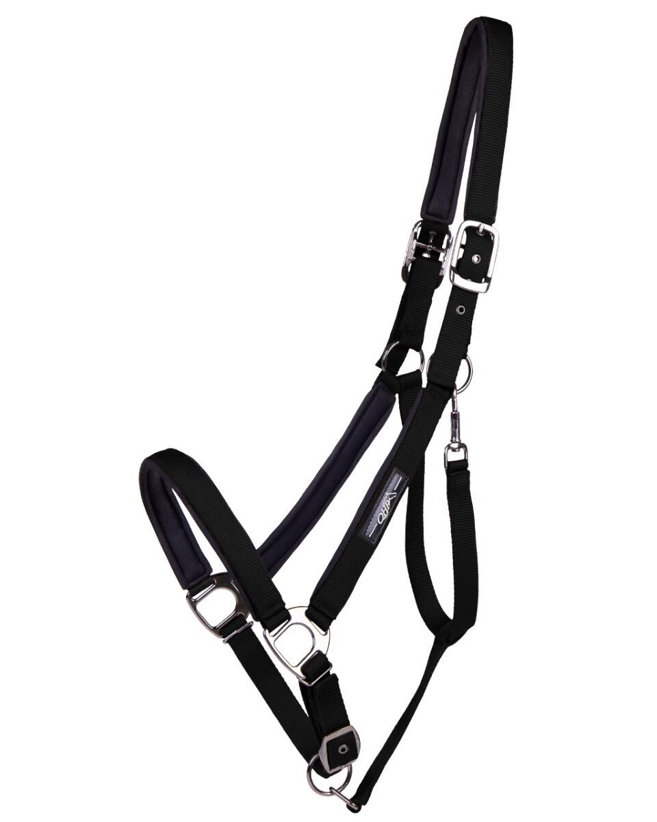 QHP Licol Deluxe cheval de trait