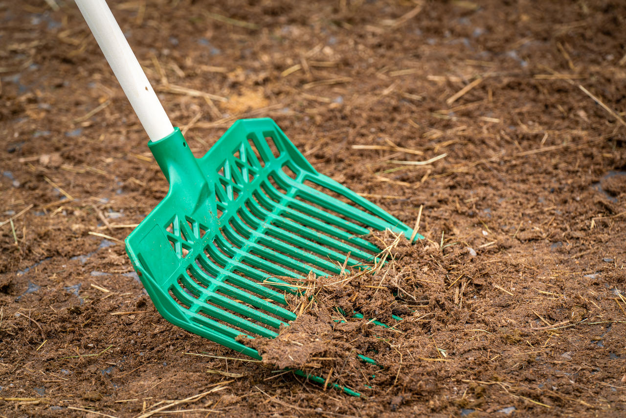 Gewa FOURCHE À FUMIER DE CHEVAL - vert foncé