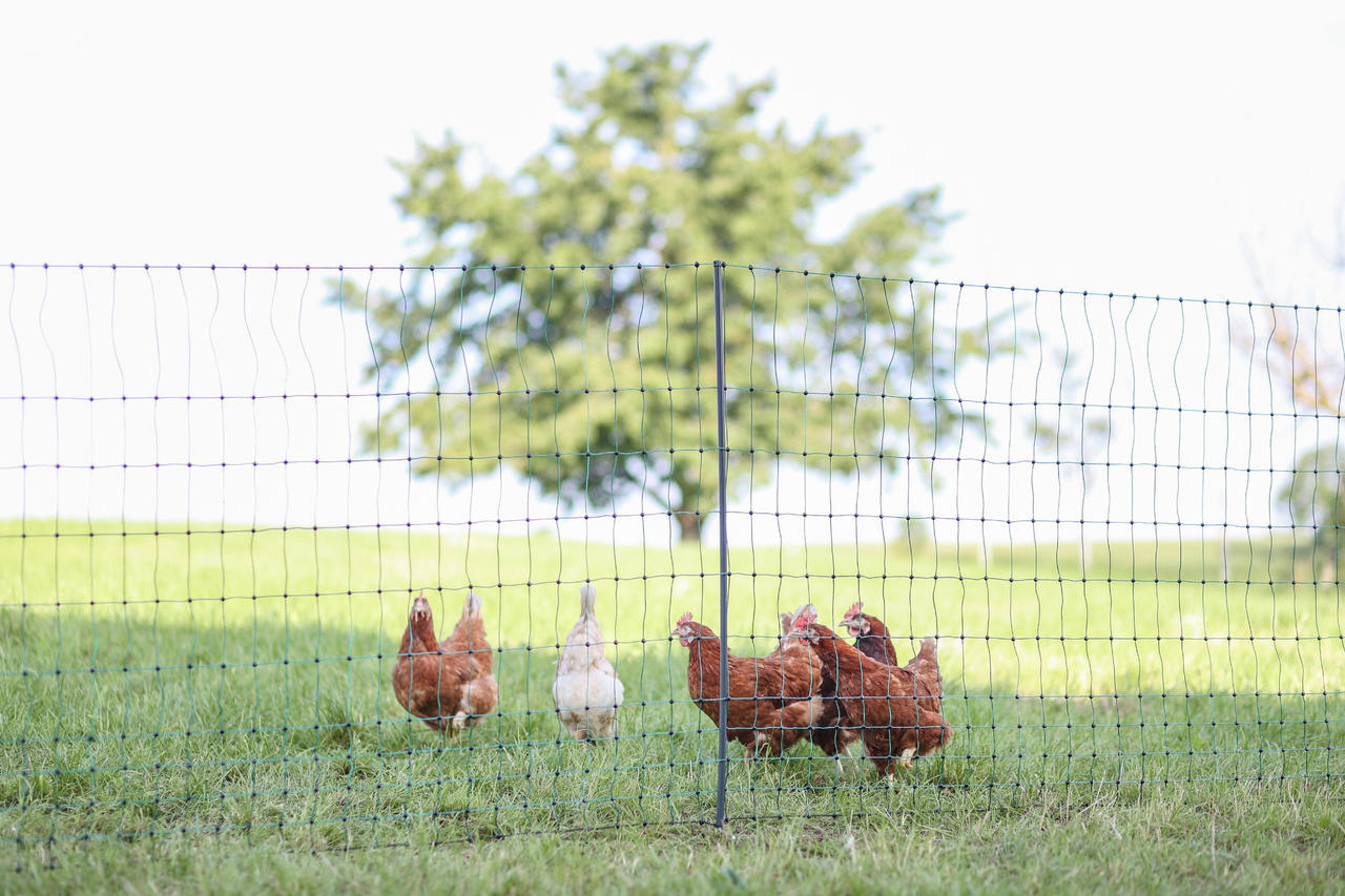 AKO PoultryNet Premium